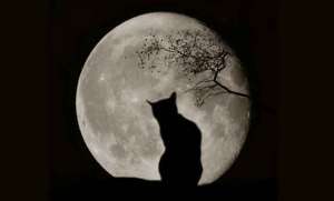 Siete pronti per la superluna? I consigli per vederla